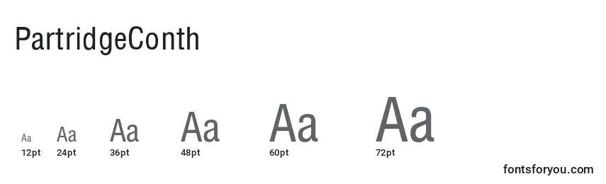 PartridgeConth Font Sizes