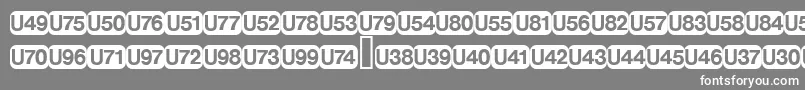 フォントDeutschebahnagFive – 灰色の背景に白い文字