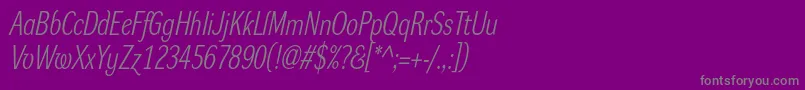 DynagrotesklcItalic-Schriftart – Graue Schriften auf violettem Hintergrund