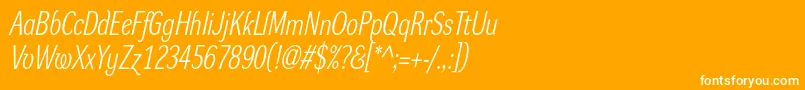 DynagrotesklcItalic Font – White Fonts on Orange Background