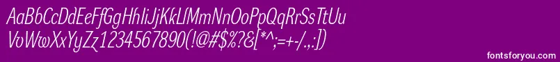 DynagrotesklcItalic Font – White Fonts on Purple Background