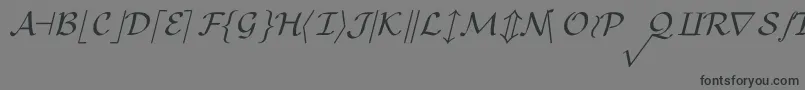 Saiba mais sobre a fonte CmMathsymbolRegular Fonte CmMathsymbolRegular – fontes pretas em um fundo cinza