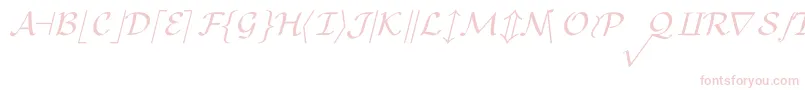 CmMathsymbolRegular Font – Pink Fonts on White Background