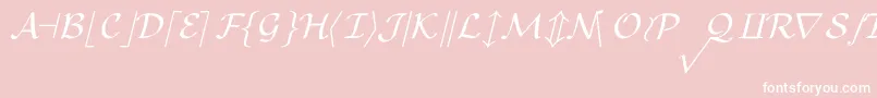 CmMathsymbolRegular Font – White Fonts on Pink Background