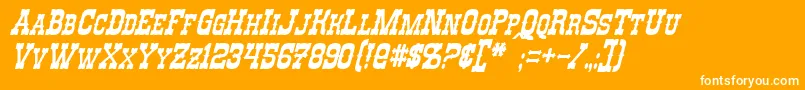 RioOroItalic Font – White Fonts on Orange Background