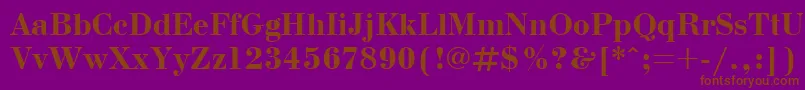 BodonicttBold Font – Brown Fonts on Purple Background