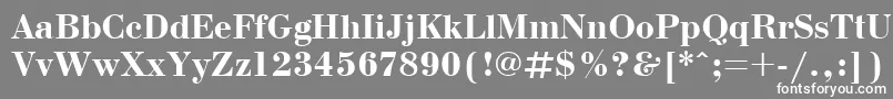 フォントBodonicttBold – 灰色の背景に白い文字