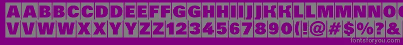 AGrotictitulhvcm Font – Gray Fonts on Purple Background