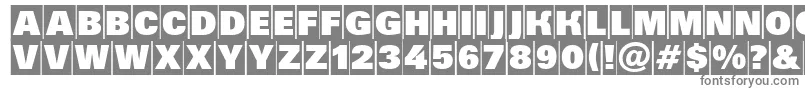 Шрифт AGrotictitulhvcm – серые шрифты на белом фоне