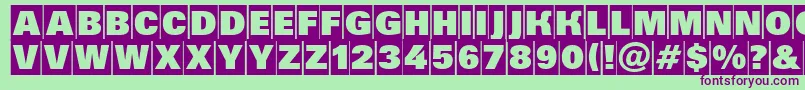 AGrotictitulhvcm Font – Purple Fonts on Green Background