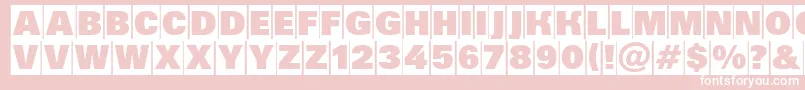 AGrotictitulhvcm Font – White Fonts on Pink Background