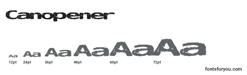 Canopener Font Sizes