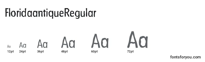 Размеры шрифта FloridaantiqueRegular