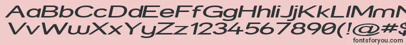 StreetExpandedItalic Font – Black Fonts on Pink Background