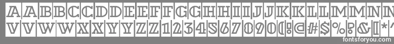 ADexterdecorcm-Schriftart – Weiße Schriften auf grauem Hintergrund