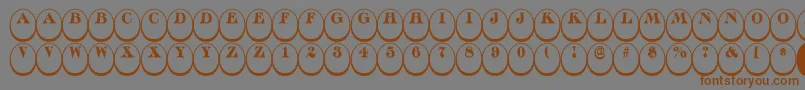 ADiscoserifdn3Dnr Font – Brown Fonts on Gray Background