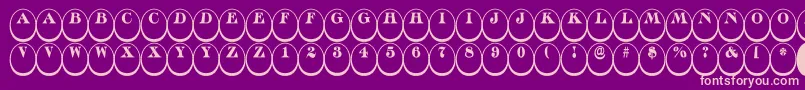 ADiscoserifdn3Dnr Font – Pink Fonts on Purple Background