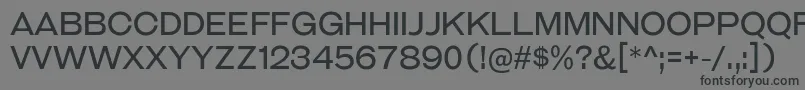フォントGalderglynnTitlingBk – 黒い文字の灰色の背景