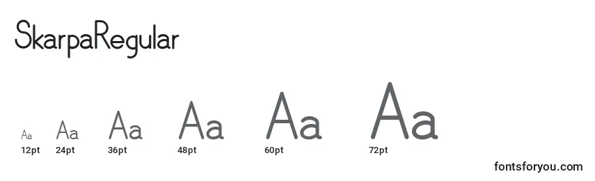 Размеры шрифта SkarpaRegular