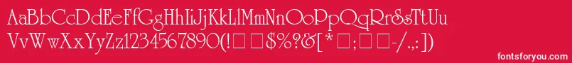 フォントAcademiaSsi – 赤い背景に白い文字