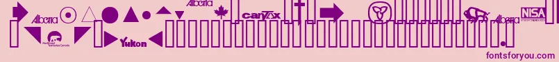 TaxFonts Font – Purple Fonts on Pink Background