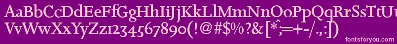 JosieRegular Font – Pink Fonts on Purple Background