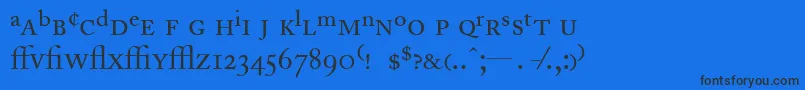 AdobeCaslonRegularExpert Font – Black Fonts on Blue Background