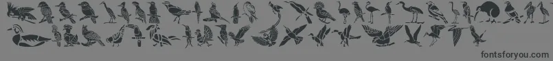 フォントHffBirdStencil – 黒い文字の灰色の背景