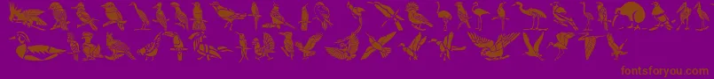 fuente HffBirdStencil – Fuentes Marrones Sobre Fondo Morado