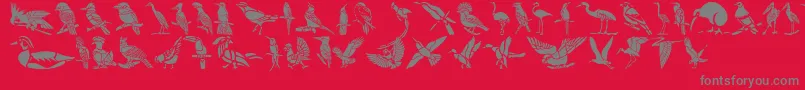 HffBirdStencil-fontti – harmaat kirjasimet punaisella taustalla