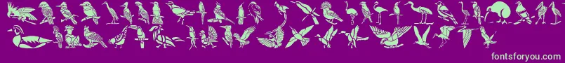 Police HffBirdStencil – polices vertes sur fond violet