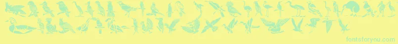 HffBirdStencil-Schriftart – Grüne Schriften auf gelbem Hintergrund