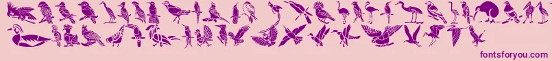 HffBirdStencil Font – Purple Fonts on Pink Background