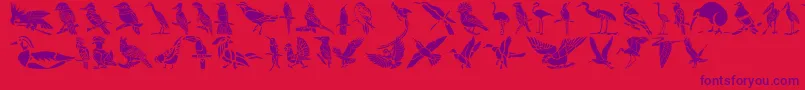 HffBirdStencil Font – Purple Fonts on Red Background