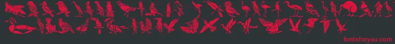 HffBirdStencil Font – Red Fonts on Black Background