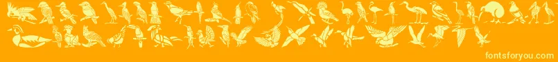 HffBirdStencil Font – Yellow Fonts on Orange Background