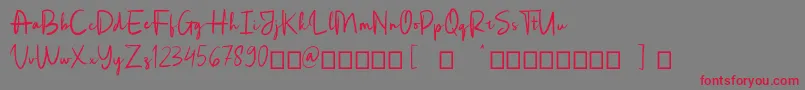 Rotterdam Font – Red Fonts on Gray Background