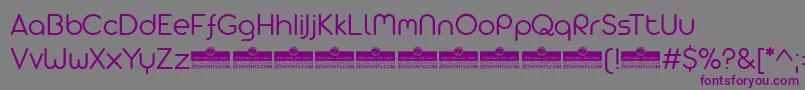 フォントAristaProAlternateLightTrial – 紫色のフォント、灰色の背景