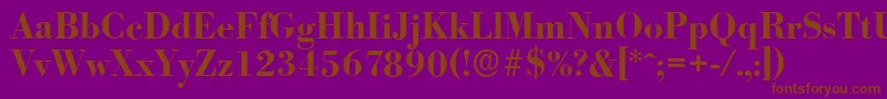 More about BodoniserialBold Font BodoniserialBold Font – Brown Fonts on Purple Background