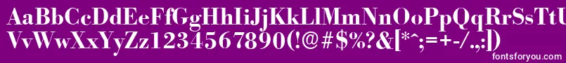 BodoniserialBold Font – White Fonts on Purple Background