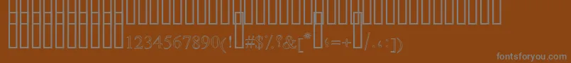DiwaniOutlineShaded Font – Gray Fonts on Brown Background