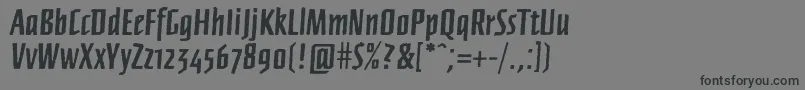 Ffnewberlinboldrough Font – Black Fonts on Gray Background