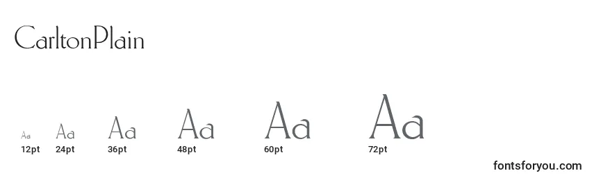 CarltonPlain Font Sizes