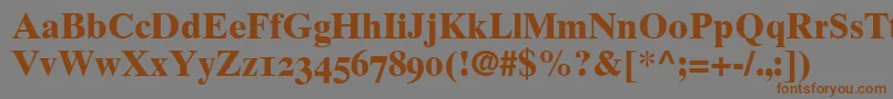 GrecoTenOldstyleSsiBoldOldStyleFigures-Schriftart – Braune Schriften auf grauem Hintergrund