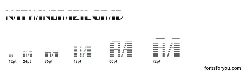 Nathanbrazilgrad Font Sizes