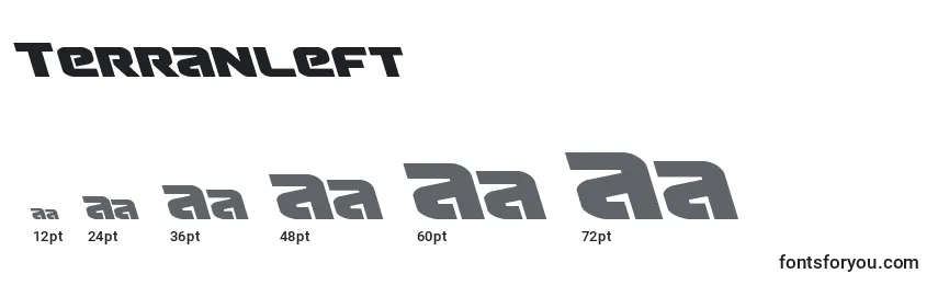 Размеры шрифта Terranleft