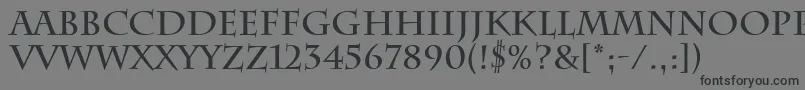 フォントCharlemagneBold – 黒い文字の灰色の背景