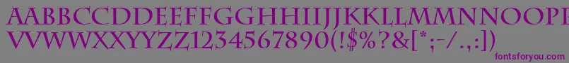 フォントCharlemagneBold – 紫色のフォント、灰色の背景