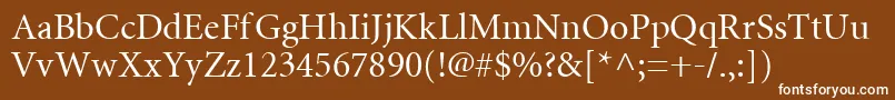 Mntr Font – White Fonts on Brown Background