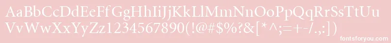 Mntr Font – White Fonts on Pink Background